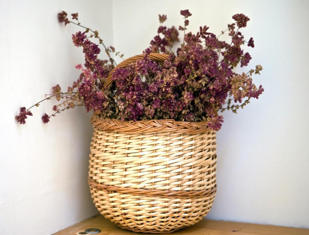 La Bribaudonniere Bed & Breakfast Saint-Palais-de-Phiolin Room photo