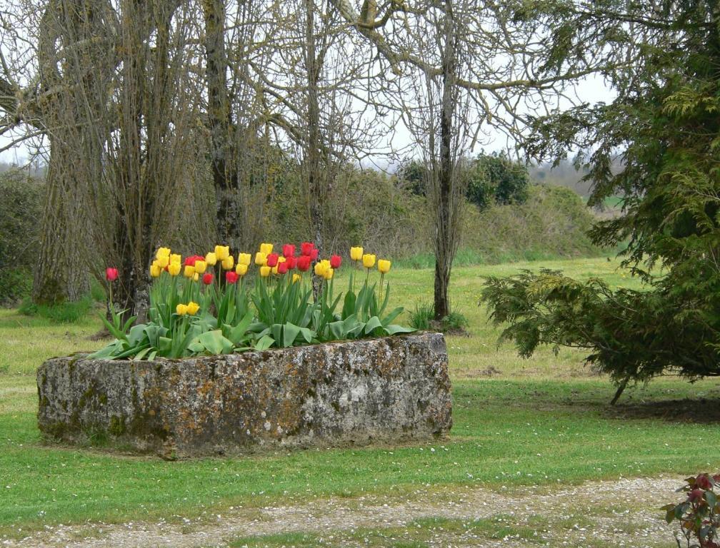 La Bribaudonniere Bed & Breakfast Saint-Palais-de-Phiolin Room photo