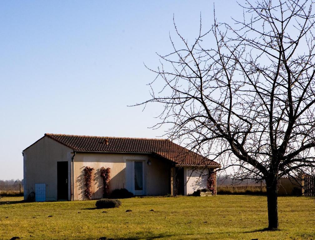 La Bribaudonniere Bed & Breakfast Saint-Palais-de-Phiolin Room photo