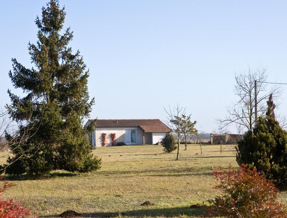 La Bribaudonniere Bed & Breakfast Saint-Palais-de-Phiolin Room photo