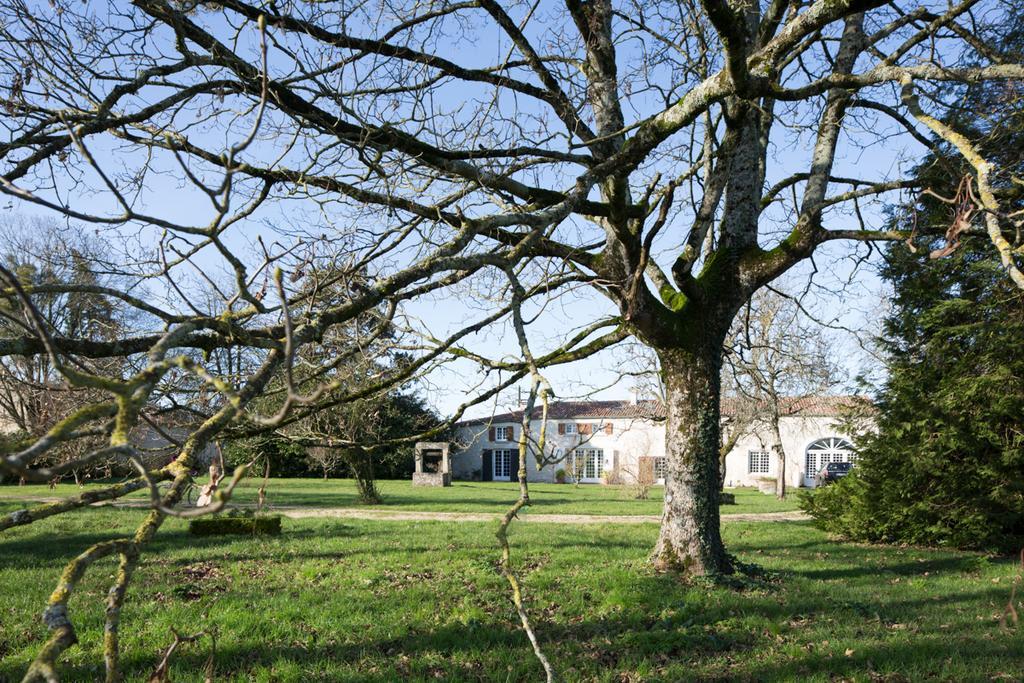 La Bribaudonniere Bed & Breakfast Saint-Palais-de-Phiolin Exterior photo